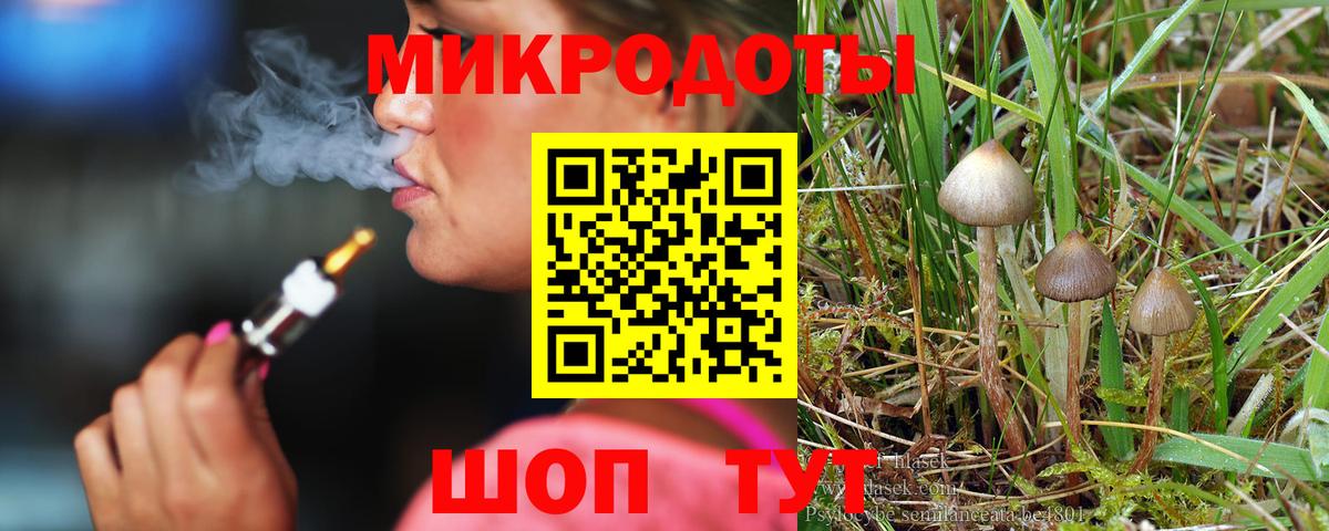 Псилоцибиновые грибы Psilocybe  Вход с VPN  Коломна 